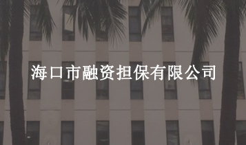 ?？谑腥谫Y擔(dān)保有限公司